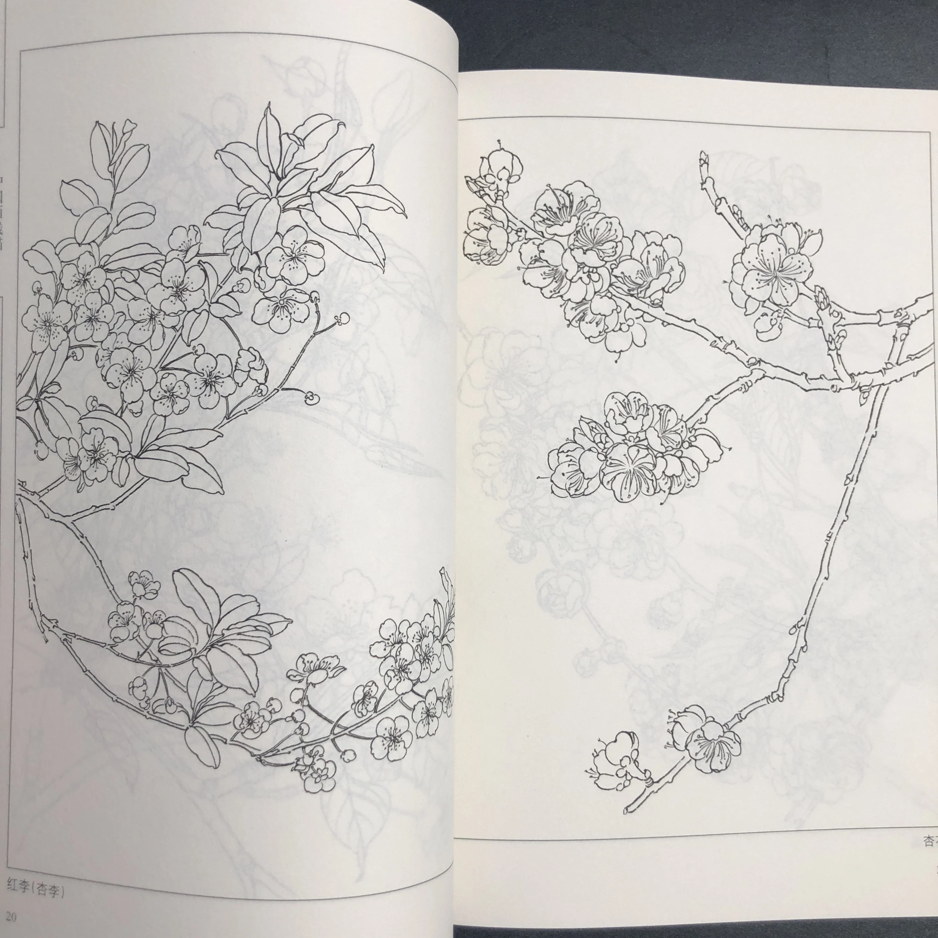 كتاب تلوين للبالغين والمراهقين يتميز بتصميمات سهلة وبسيطة لرسم الرسم الصيني للاسترخاء