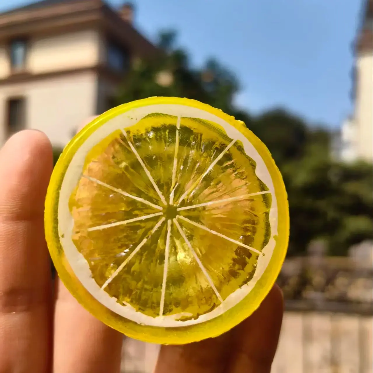 

Transparent Fruits Lemon Phone Holder Universal Phone Griptok Stand Support For iPhone Smart Tok Desk Holder Lazy Bracket