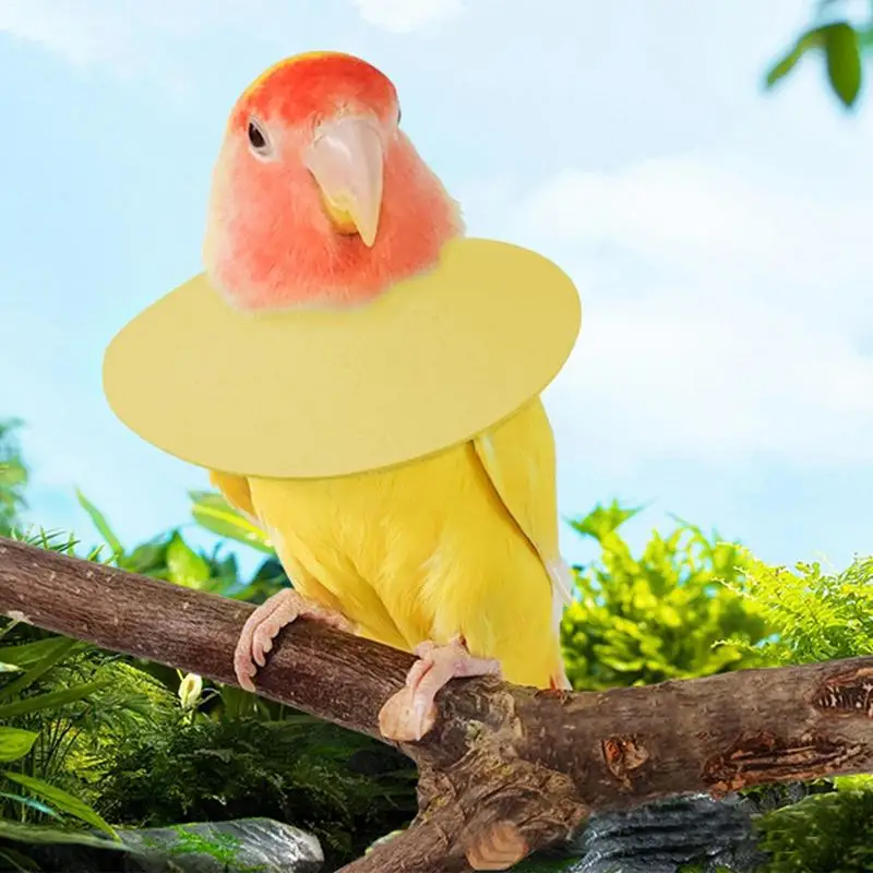 Thumbnail 3 - #69 Best Bird Baths to Buy In 2026