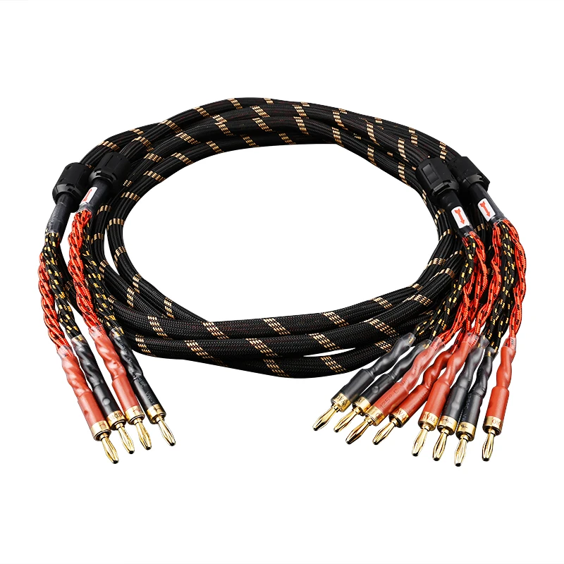 One Pair YYAUDlO HlFl Speaker Cables 2 Banana Plug to 4 Banana Plug Connection  Ideal for Home Theaters and Music Enthusiasts
