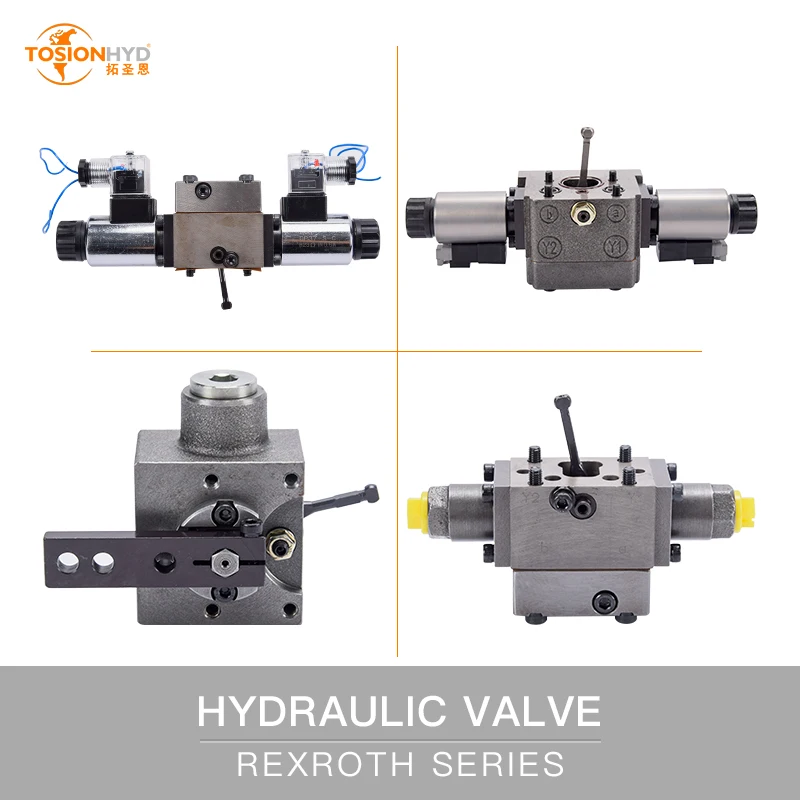 A4VG Series Pump Spare Parts A4VG28 A4VG40 A4VG56 A4VG71 A4VG90 A4VG125 A4VG180 A4VG250 Hydraulic Valve With Rexroth