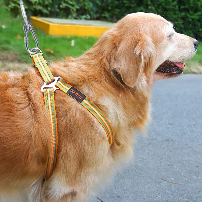 Steel Wire Tie Out Cable Dog Leash Heavy Duty Reflective Trolley Training Lead For Large Dogs Up To 110kg Pet Runner