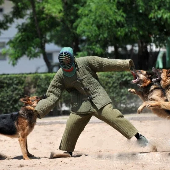 

Dog Unpowered Silent Smooth Treadmill Pit Bull Horse Dog German Shepherd Golden Retriever Labrador Training Equipment