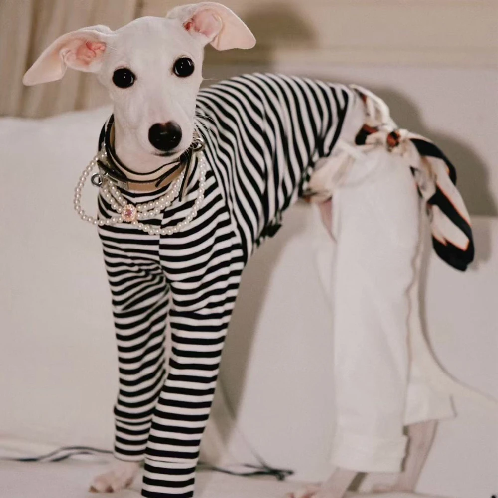 ウィペット犬用ファッションストライプ服ワンピースコットンジャンプスーツtシャツパンツイタリアングレイハウンドベドリントン用