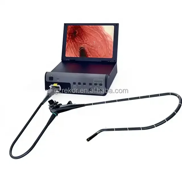 High resolution flexible video veterinary gastroscope endoscope ca-me-ra for cat dog cattle sheep