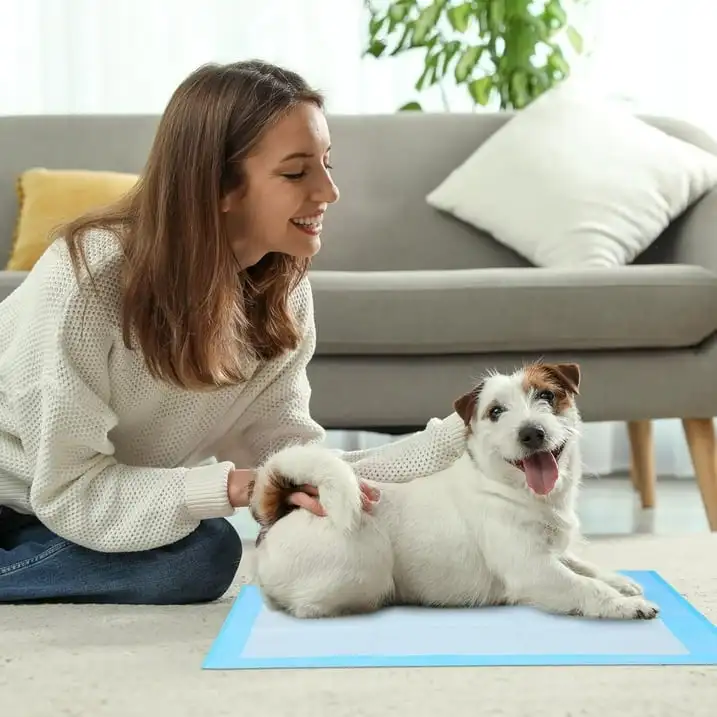 

Super Absorbent Waterproof Dog and Puppy Pet Training Pad, Housebreaking Pet Pad,Blue (22"x22" (50PCS)).
