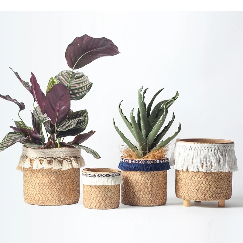 

Vintage Woven Basket Cement Flower Pot Tabletop Succulent Green Plant Flowerpot Potted Pots Home Decoration