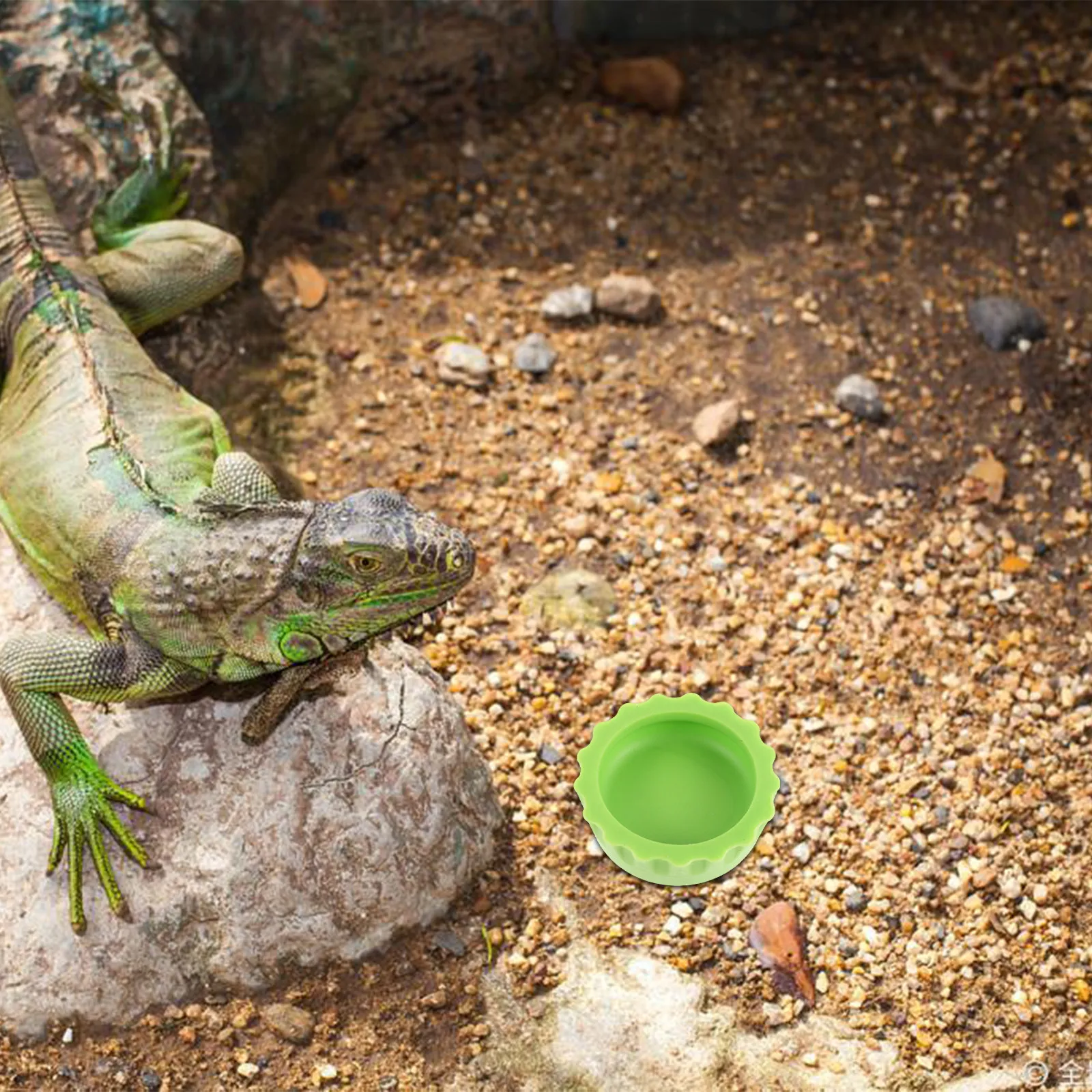 7pcs Silicone Reptile Feeding Dish and Spoon Flexible Non Stick Gecko Water Bowl Reusable Feeding Cups for Crested Geckos
