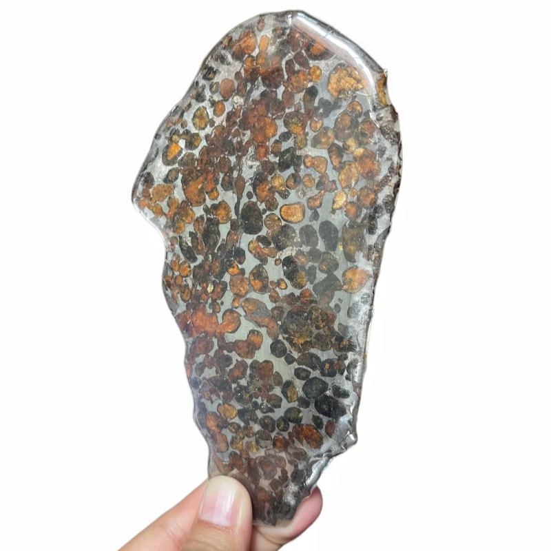Natural Sericho Pallasite Meteorite Polished Irregular Slice Transparent Olivine Crystal Space Collectible LK876