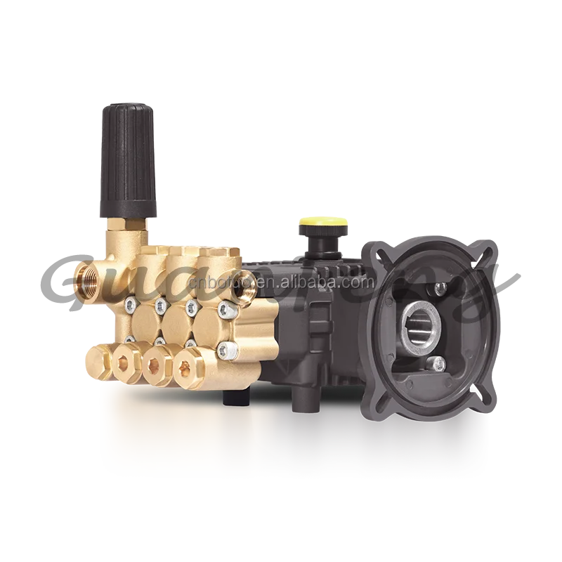 9lpm 100bar Series Triplex Plunger High Pressure Washer Pump for Car Cleaning