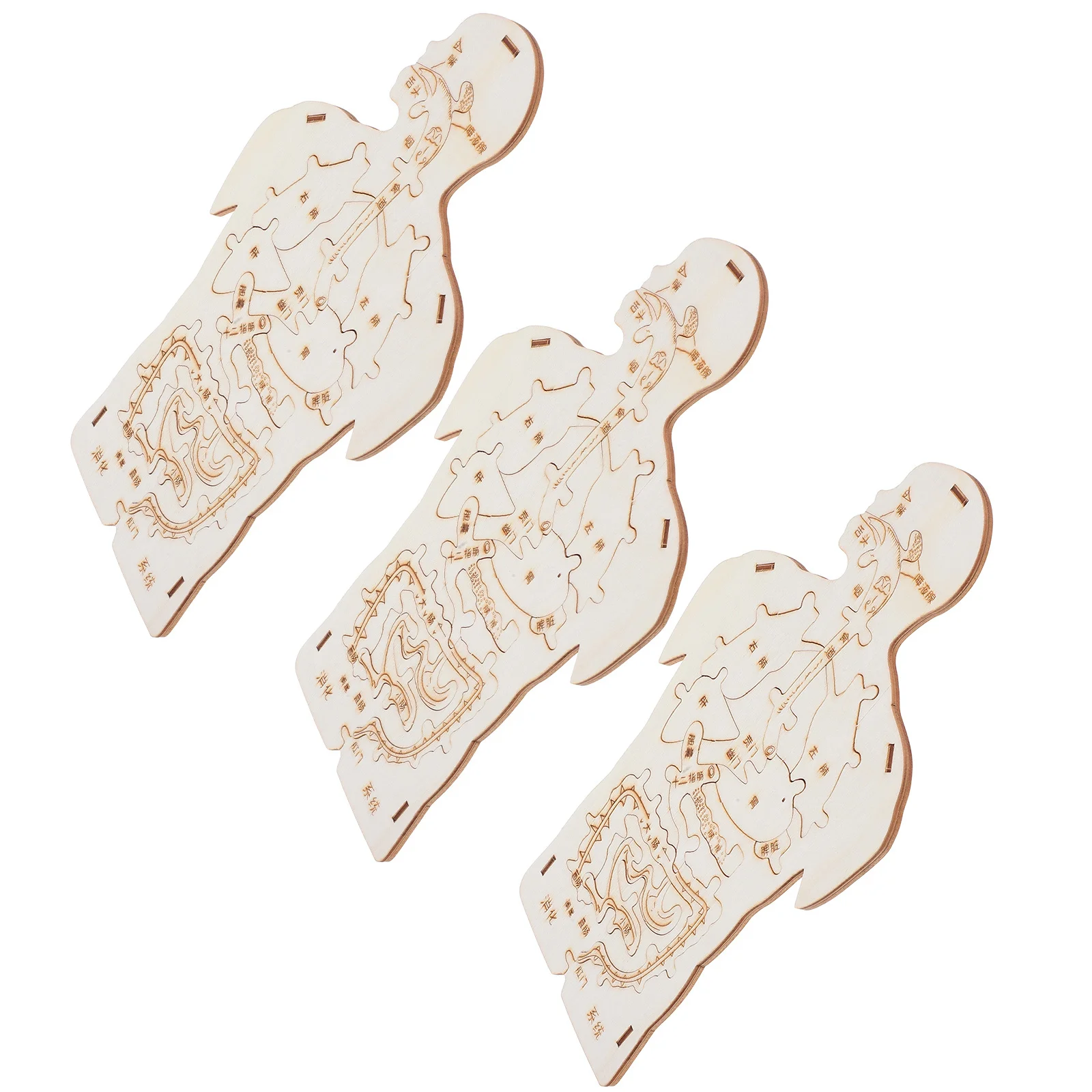 3-teiliges My Body-Puzzle für Kleinkinder – Naturholz-Puzzle für menschliche Anatomie – Geschicklichkeitsgebäude, wissenschaftliches Lernspiel für Kinder – Vorschule