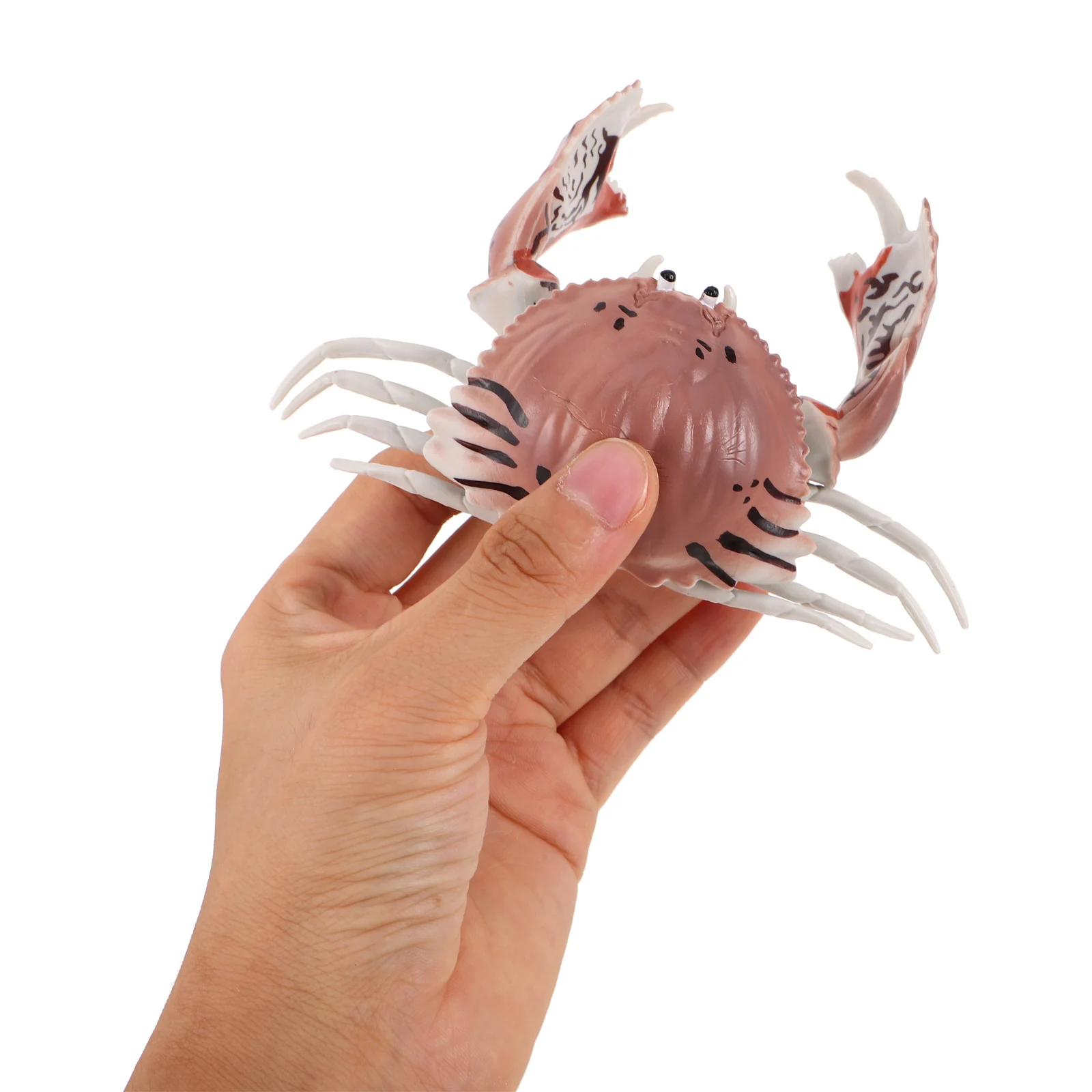 

2Pcs Adorable Crab Decor Imitation Ocean Animals Figures Early Learning Safe PVC Bright Colors Visual Stimulation Kids