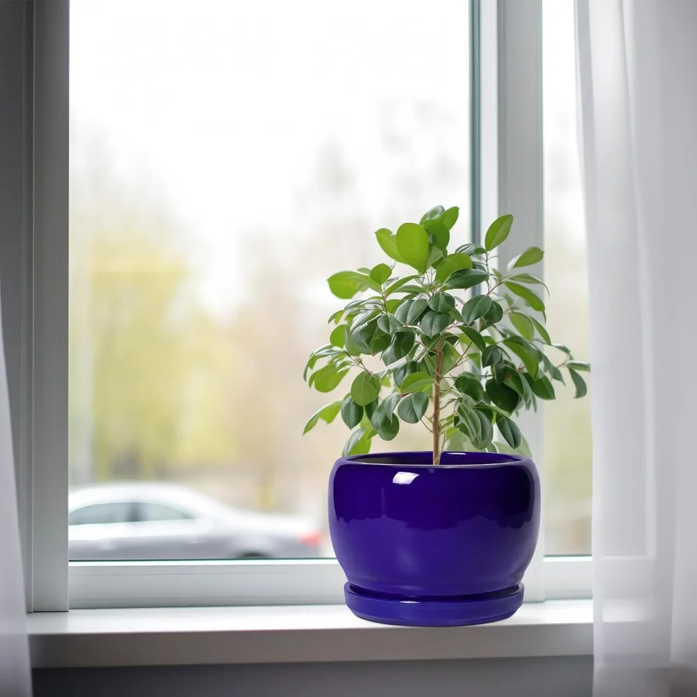 وعاء نبات سيراميك مقاس 8 بوصة مع فتحة تصريف وصحون، زارع دائري حديث للنباتات الداخلية والخارجية، هدية ديكور أزرق