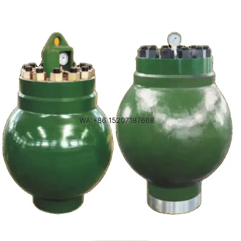 Wmwmnu for DONGJIANG API Steel Core High Quality Bladder Pulsation Dampers with 1 Year Warranty for Oilfield Industrial