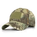 Green python
