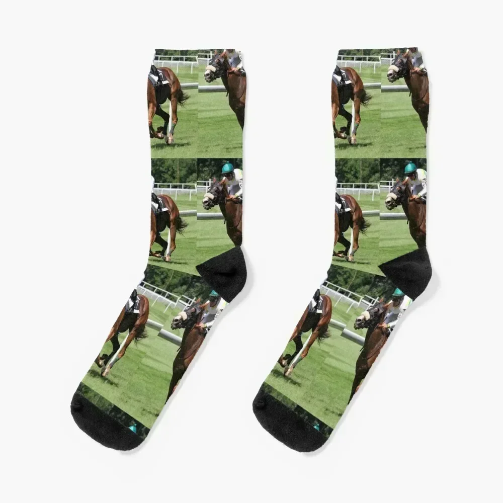 Equine Horse Racing pet Socks floor cycling professional running essential Luxury Woman Socks Men's