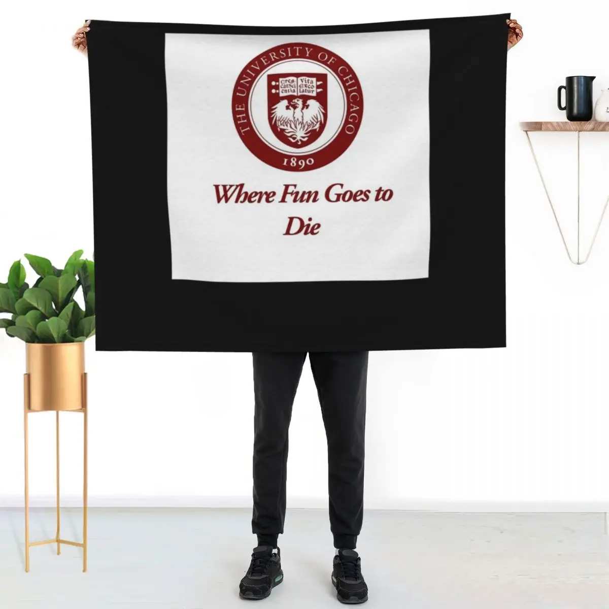 The University of Chicago Where Fun Goes to Die Classic Throw Blanket couch cozy soft plush fuzzy picnic outdoor blanket