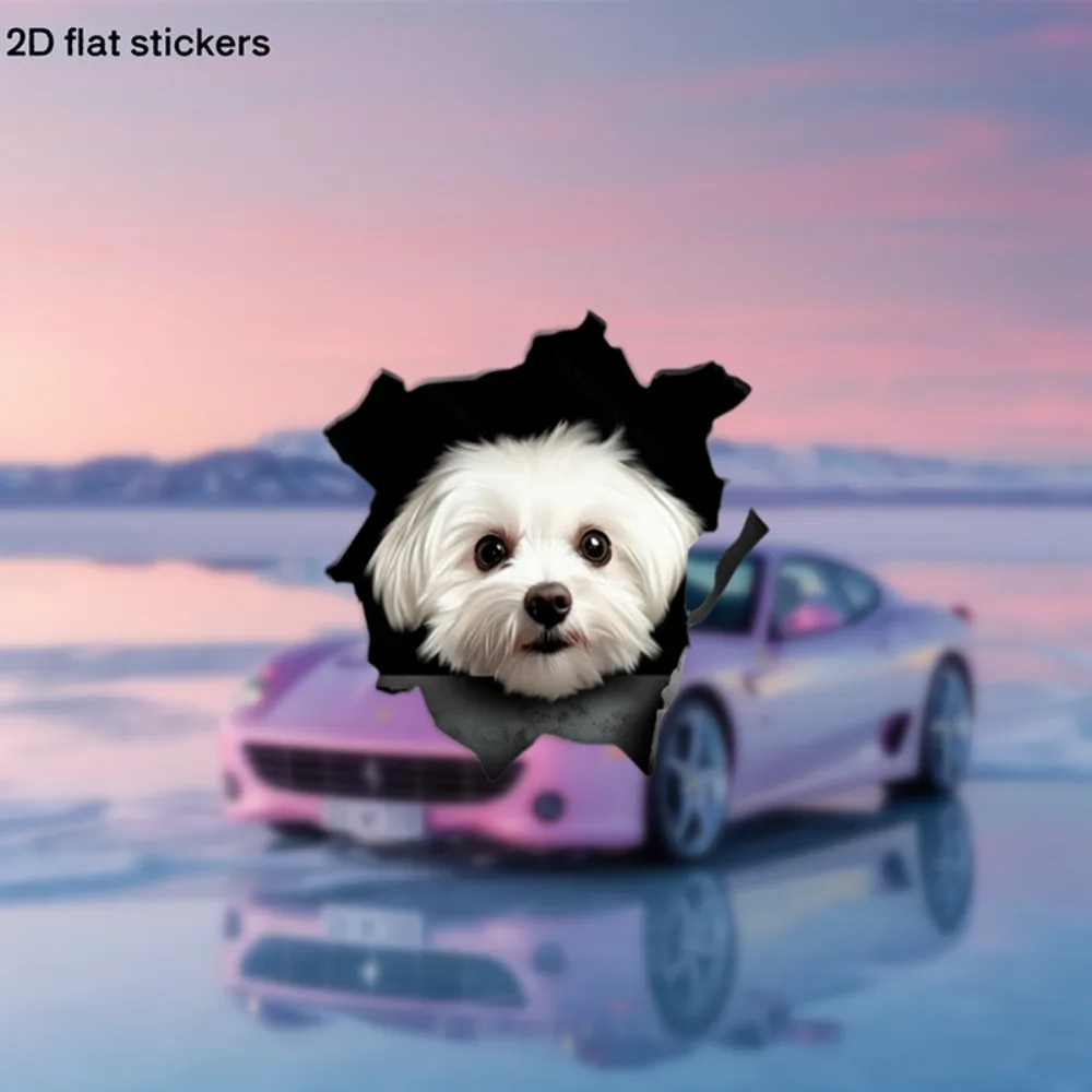 

Cute Anime Style & Pumpkin Stickers Glossy Decals with Shiro Dog Like Characters Plastic Temporary Car Laptop Fridge Water