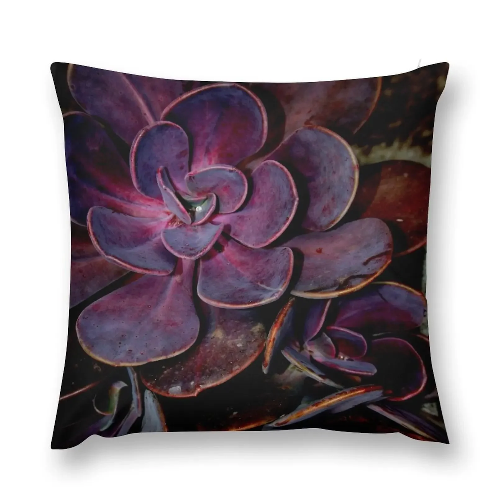 velvet aubergine cactus Throw Pillow Decorative Cushion Cover Sofa Cushions Cover Christmas Pillows pillow