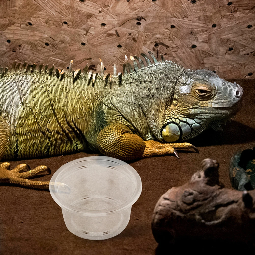 

30 Pcs Reptile Food Water Box Small Gecko Lizard Snake Pet Supplies Plastic Feeding Dish Tank Accessories Hydration Solution