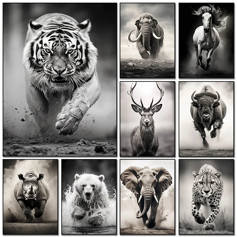 Multiple sizes 1pc frameless Canvas PaintingBlack and White Animal Poster Tiger Elephant Deer Cheetah Bull Horse Canvas Painting