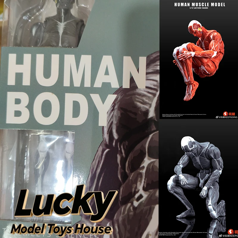 

Red Gray 1/12 Human Action Figure Muscle Model Toys Super Hero Movable Joint Body Toys Accessory Keepgoing 6inch Male Soldier