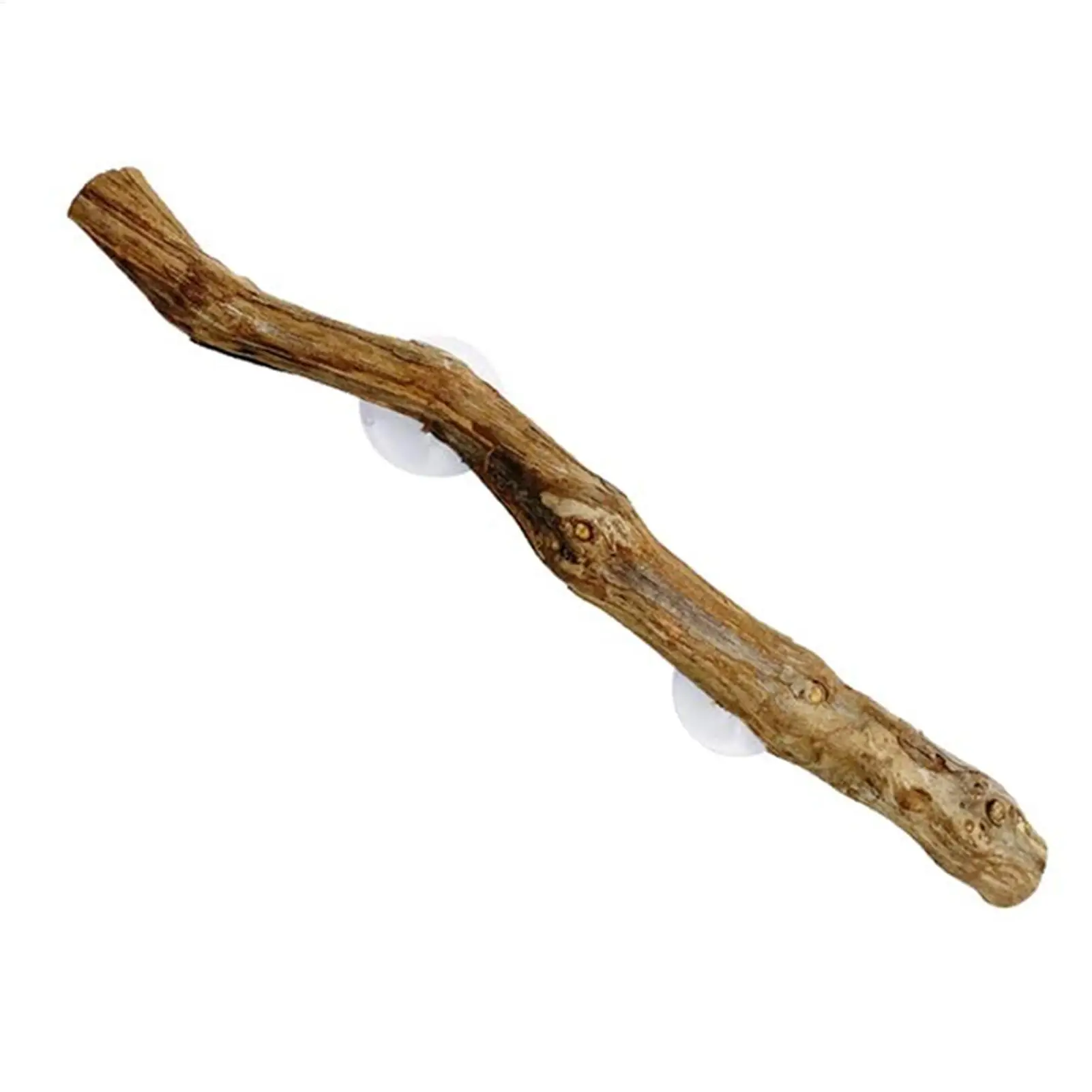 Rama de Madera para Reptiles, Esquina para Trepar, Antideslizante, Decoración para Terrario, Tronco de Árbol, Adorno para Hábitat