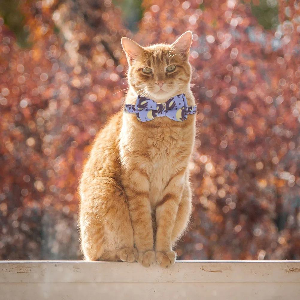 

Adjustable Halloween Style Cat Collars 2pcs Pet Neck Decor For Party Festive Pet Collar Accessories