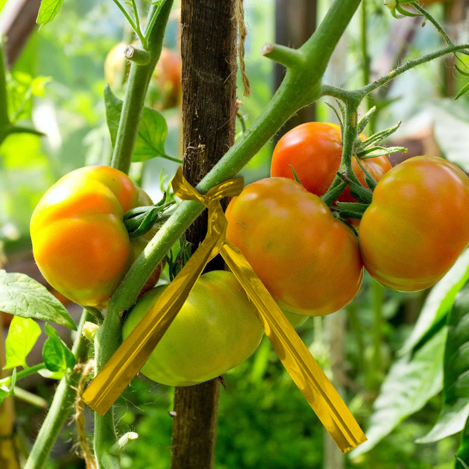 

350M Red Gardening Ties Plant Straps Iron Wire Cable Ties for Plants Home Office Food Bag Seal Reusable Fixing Straps Gardening