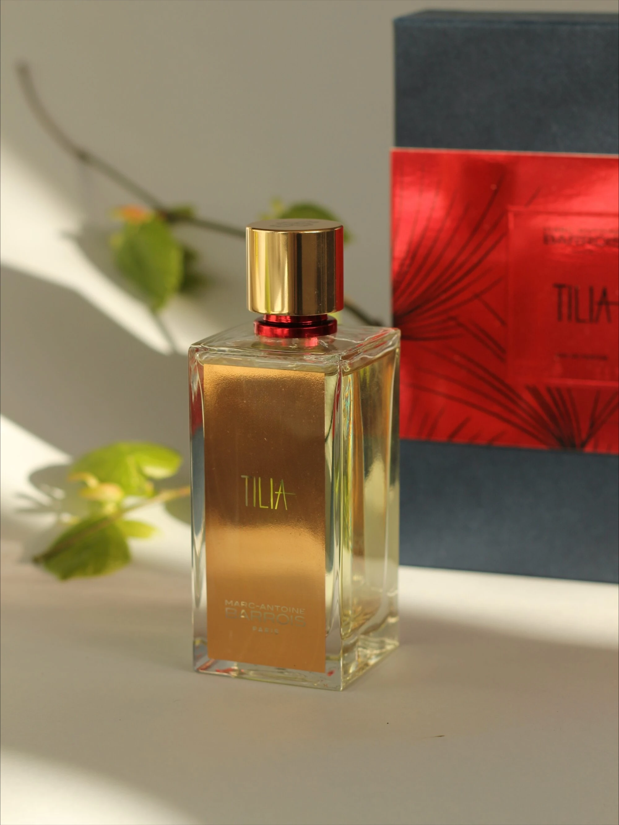 

Luxury Unisex Eau De Parfum 100ml (3.4 Oz) - High-Quality Floral Notes, Long-Lasting, Fresh Scent, Daily & Gift, Top Seller