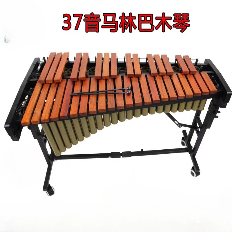 Gelsonlab HS-XL37A Musical Instrument Xylophone for kids Educational use