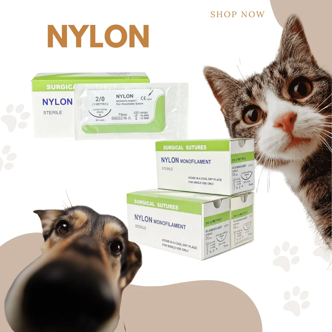 Vet Sutures Veterinary Sterilized Threads Cutting Round Bodied Nylon PGA PDO PGLA