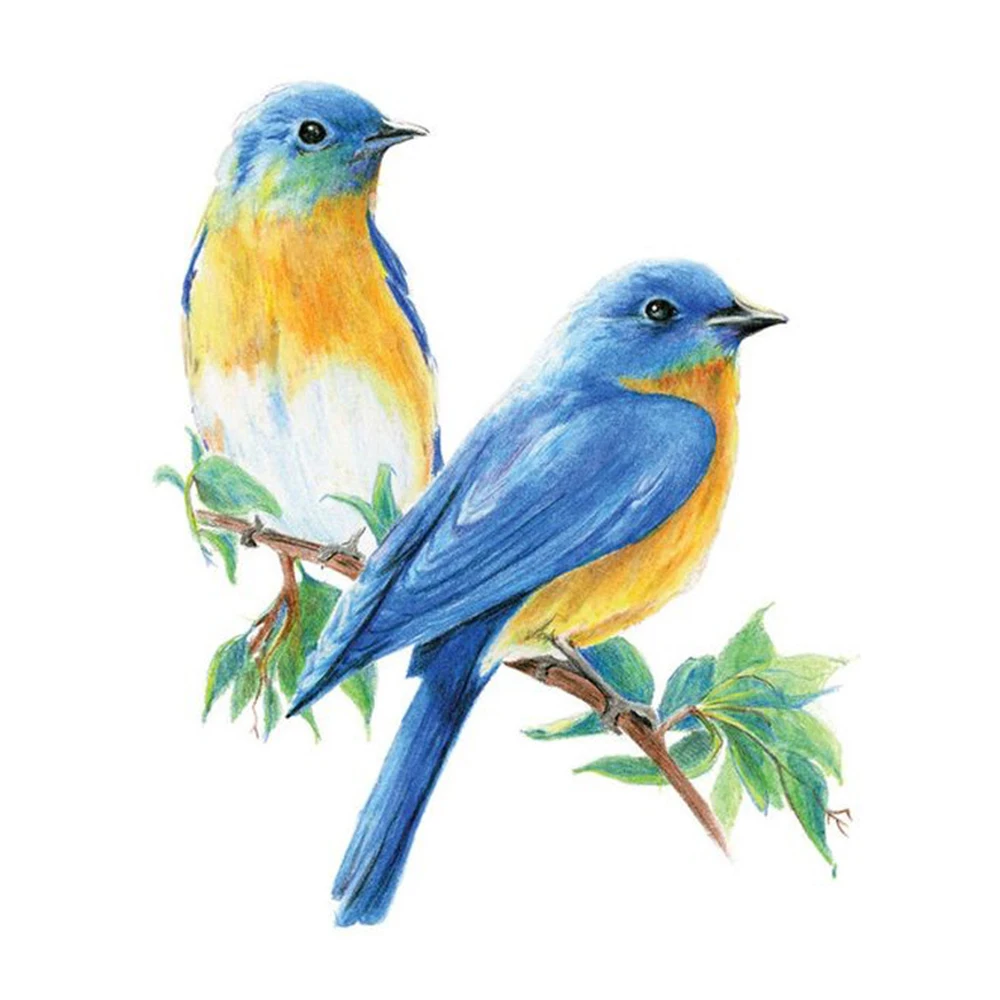 12/24/48/72/120 색 오일 우드 색연필 수채화 연필 스케치 드로잉 연필 세트, 학교 어린이 그림 미술 용품