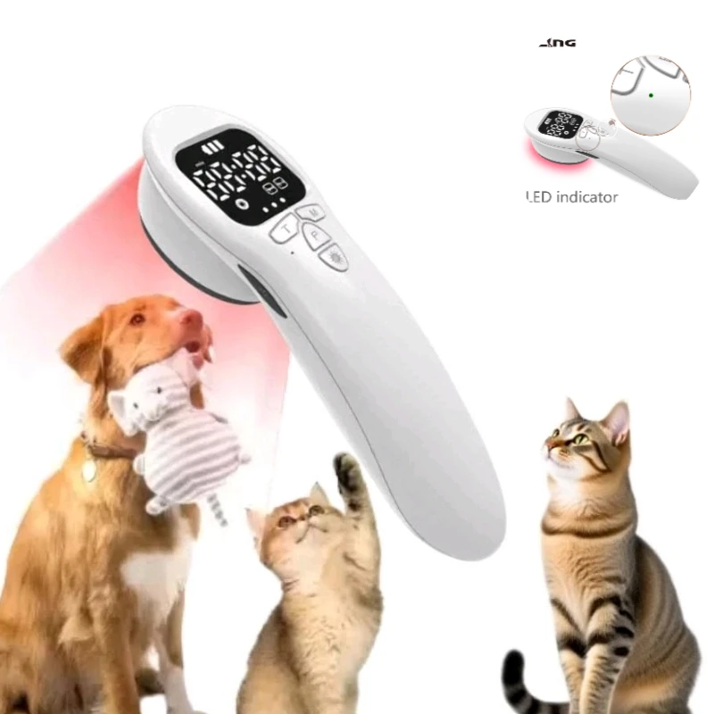 

Post-Grooming Rash Relief Laser for Sensitive Skin Cats