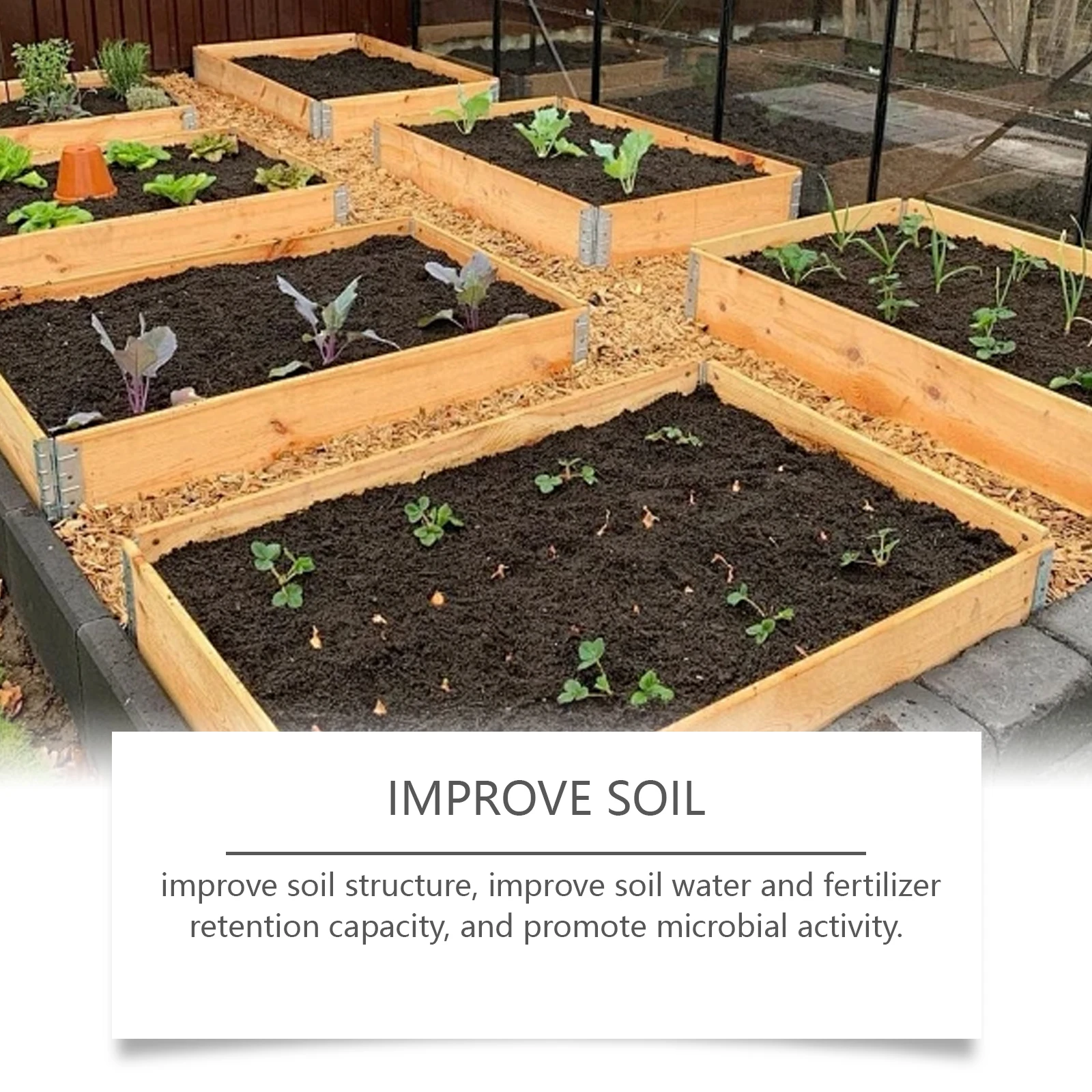 محلول تنشيط عالمي لمغذيات النباتات لنباتات الزهور ينشط الجذور لتعزيز امتصاص مغذيات النباتات #6