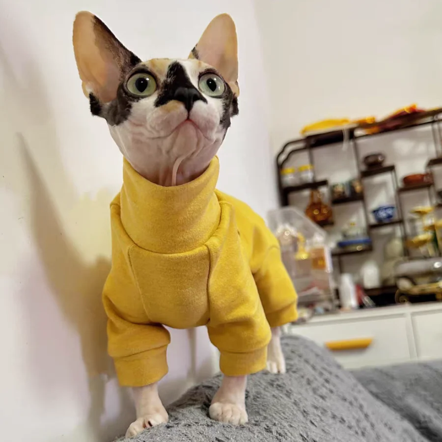 Warm Fleece Coat for Sphynx Cat Spring Soft 4-legged Jumpsuit for Kittens Yellow High-Neck Sweatshirt for Devon Rex in Winter