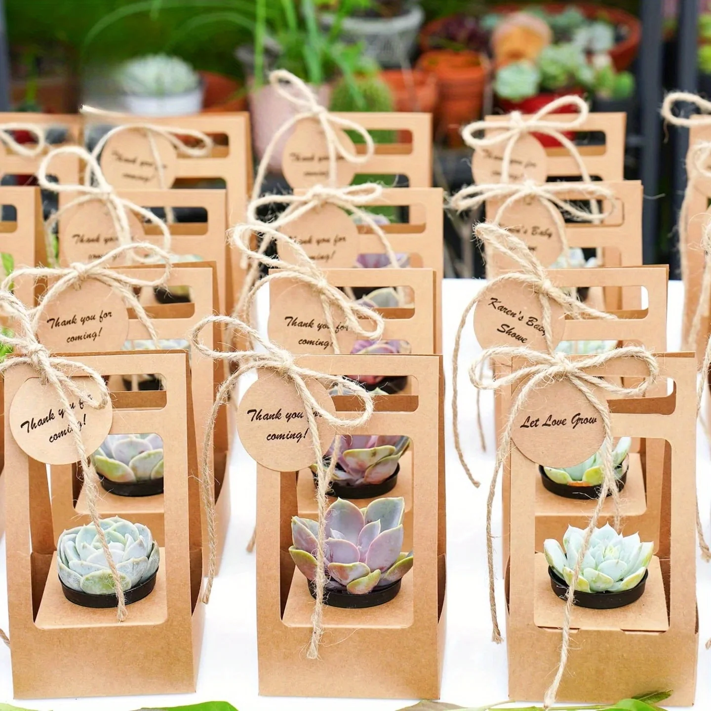 ชุดถุงห่อของขวัญสำหรับไม้อวบน้ - Flower Wrap Kraft บทวิจารณ์และราคา