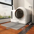 White plus cushion