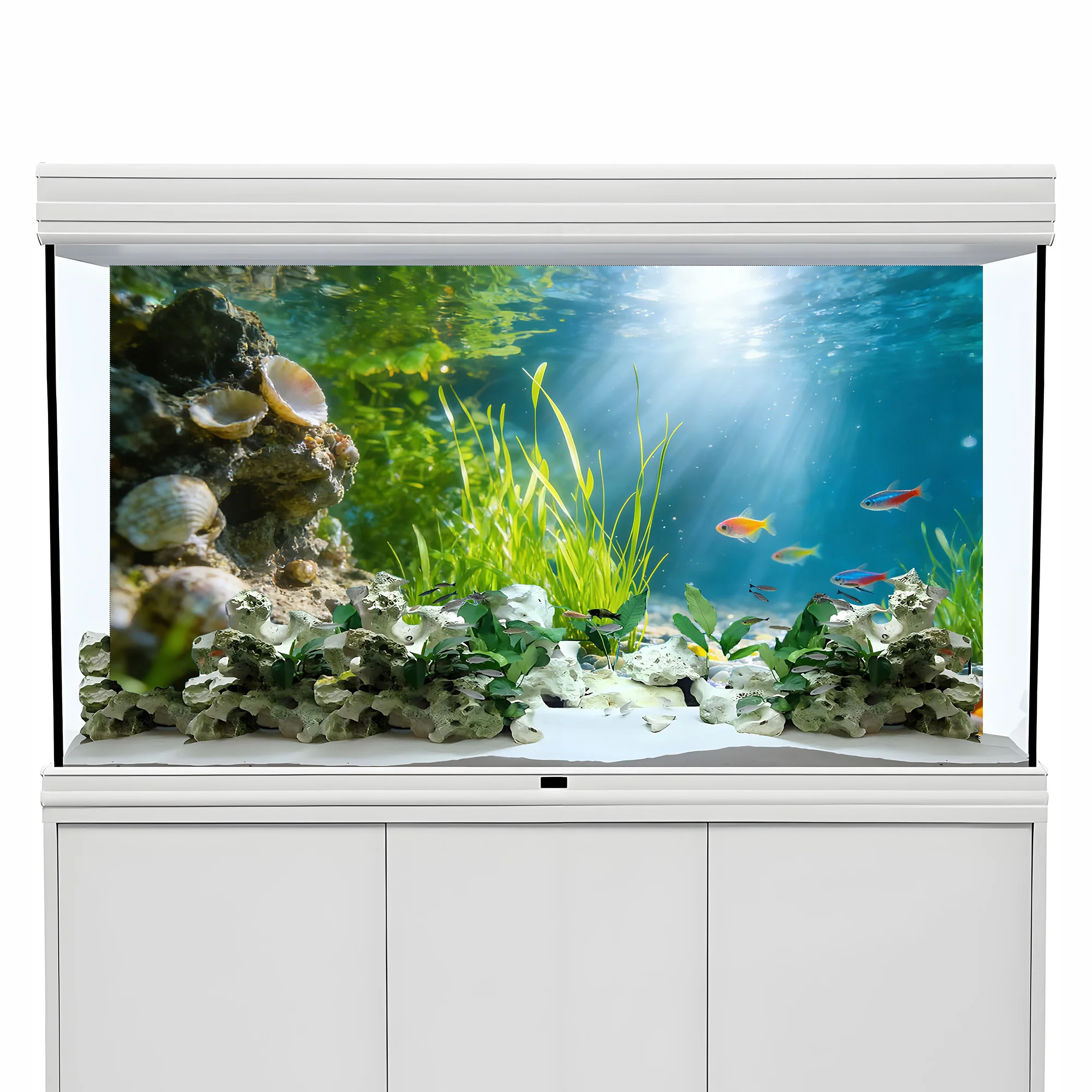Shell Reefs, Seaweeds, Fish Ta - Aquarium Fish Background 评论和价格