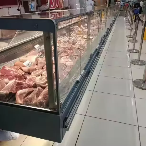 عداد خدمة ثلاجة اللحوم في السوبر ماركت المخصص يستخدم كنظام عرض تجاري