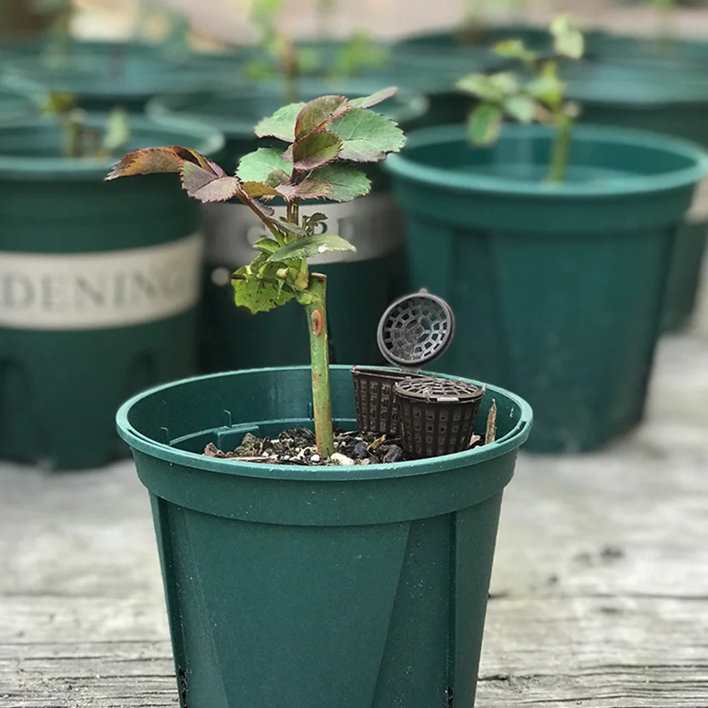 

30pcs Boxes Plastic Gardening Accessories Fertilization Containers Bonsai Succulent Orchid Fertilizer Baskets Durable Reusable