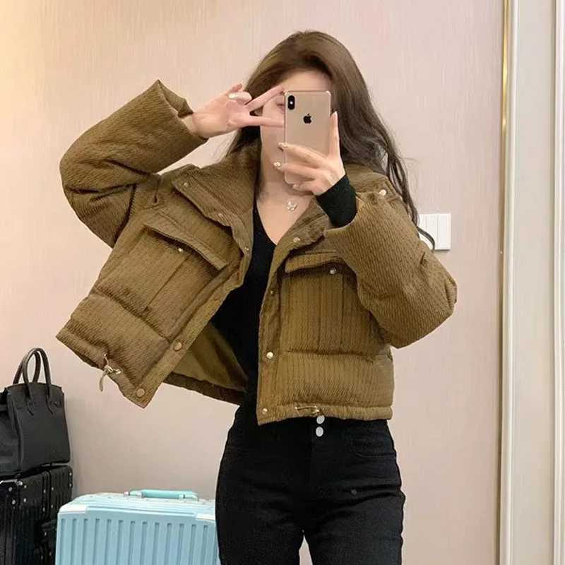 Winter Warm Brown Crop Parka Coat Women Fashion Korean Solid Chic Thicken Puffer Jacket Loose Streetwear All Match Down Coats