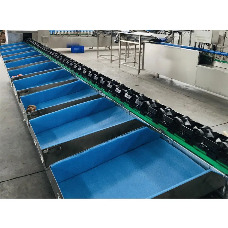 Electronic Roller Fruit Vegetable Automatic Weight Sorting Grading Machine 220V 750W 1 Year Warranty for Large Capacity