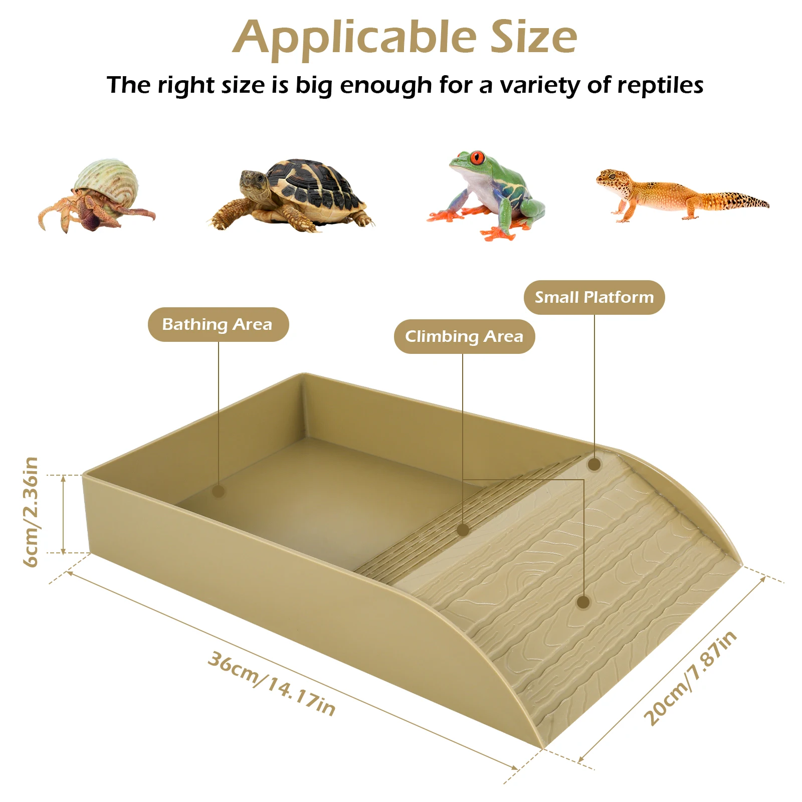 Tortoise Food Dish Reptile Water Bowl Reptile Bathing Pool with Anti-Slip Ramp Reusable Turtle Reptile Pool Habitat Accessories