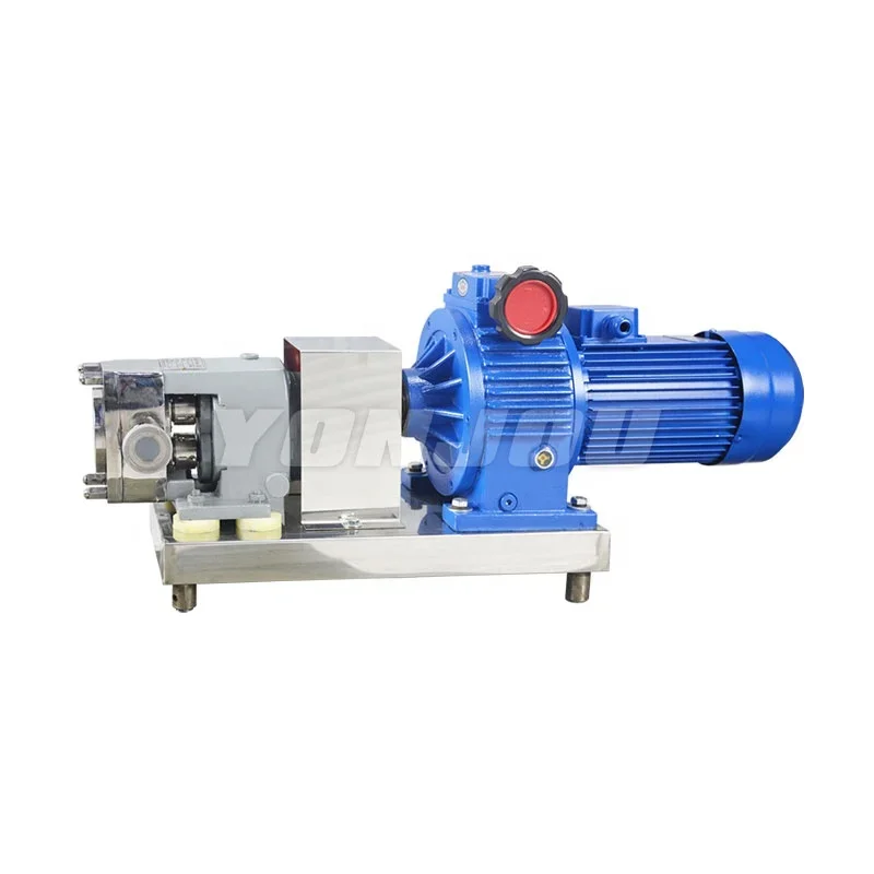 

Screw Gear Rotary Lobe Beer Sanitary Positive Displacement Pump Electric Stainless Steel Gear Pump Heavy Oil Gear Pump 25-100 Mm