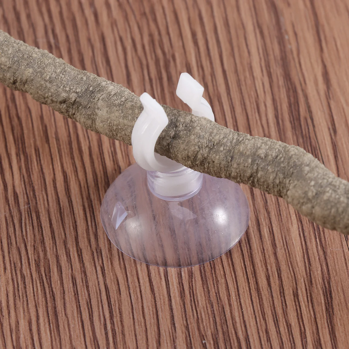 

5Pcs Realistic Climbing Vine Rattan Reptile Pet Decor Bendable Twistable 2m 9mm Suctorial Cup Lizards Chameleons Geckos