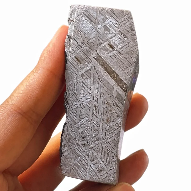 Muonionalusta Iron Meteorite Slice Etched Widmanstatten Pattern Specimen With Original Crust Mineral Collection Display CC254