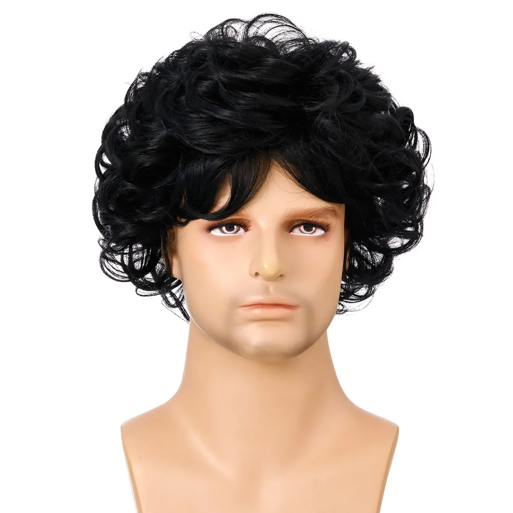 

Short Curly Synthetic Wig for Men Fashion Fluffy Party Daily Wear Style Heat Resistant Hairpiece