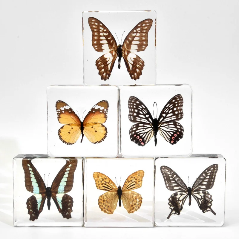 

1pc Butterfly specimen decoration.Resin crafts, butterflies spreading their wings, size 75*75*20mm for children's birthday gifts