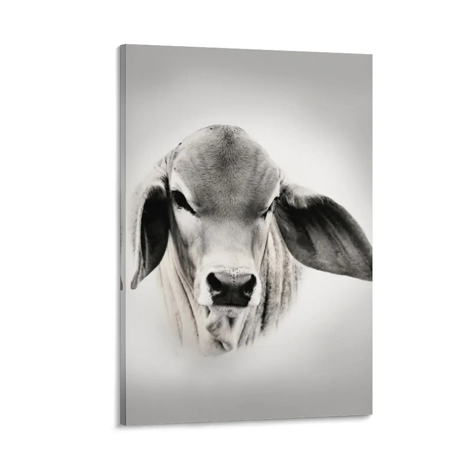 

BRAHMAN CALF, PORTRAIT Canvas Painting anime art Decorative prints wall painting Decoration pictures room wall
